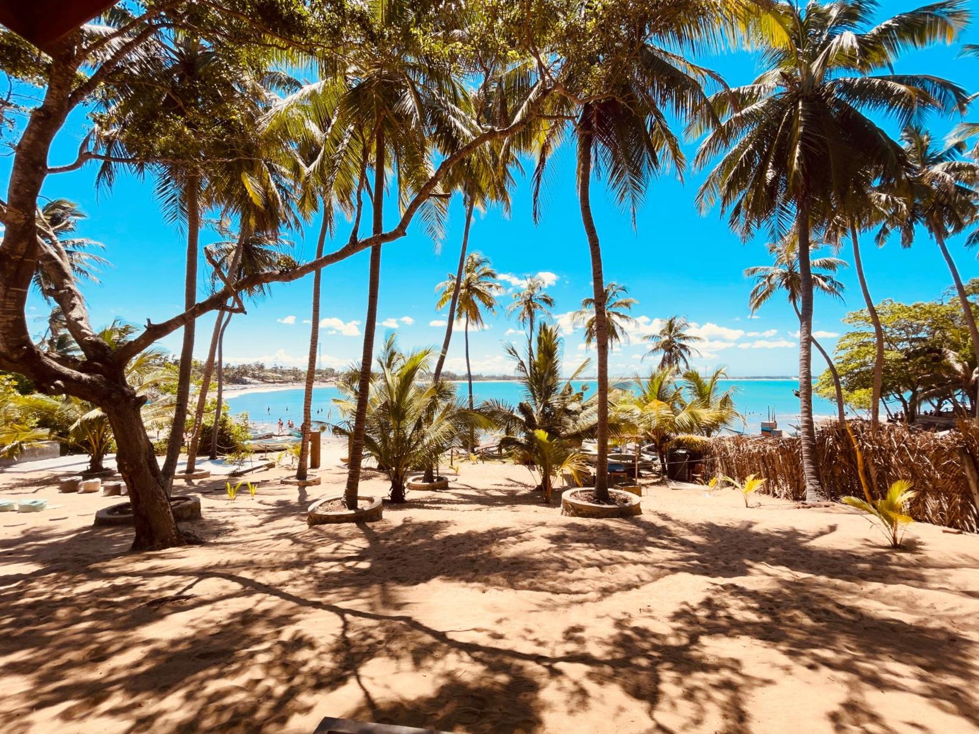 Coconut Hill Arugam Bay 호스텔 외부 사진